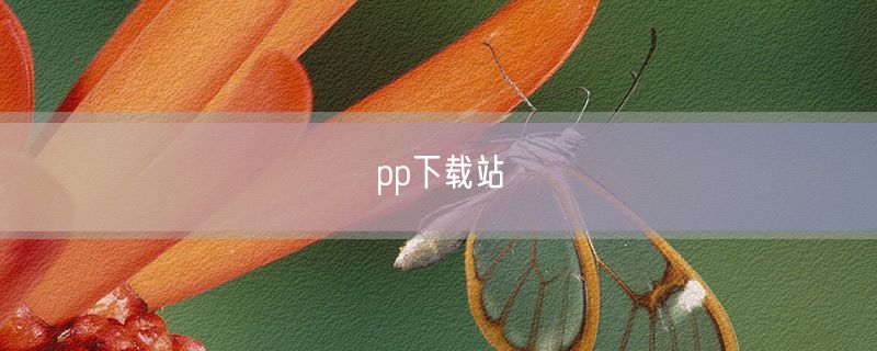 pp下载站